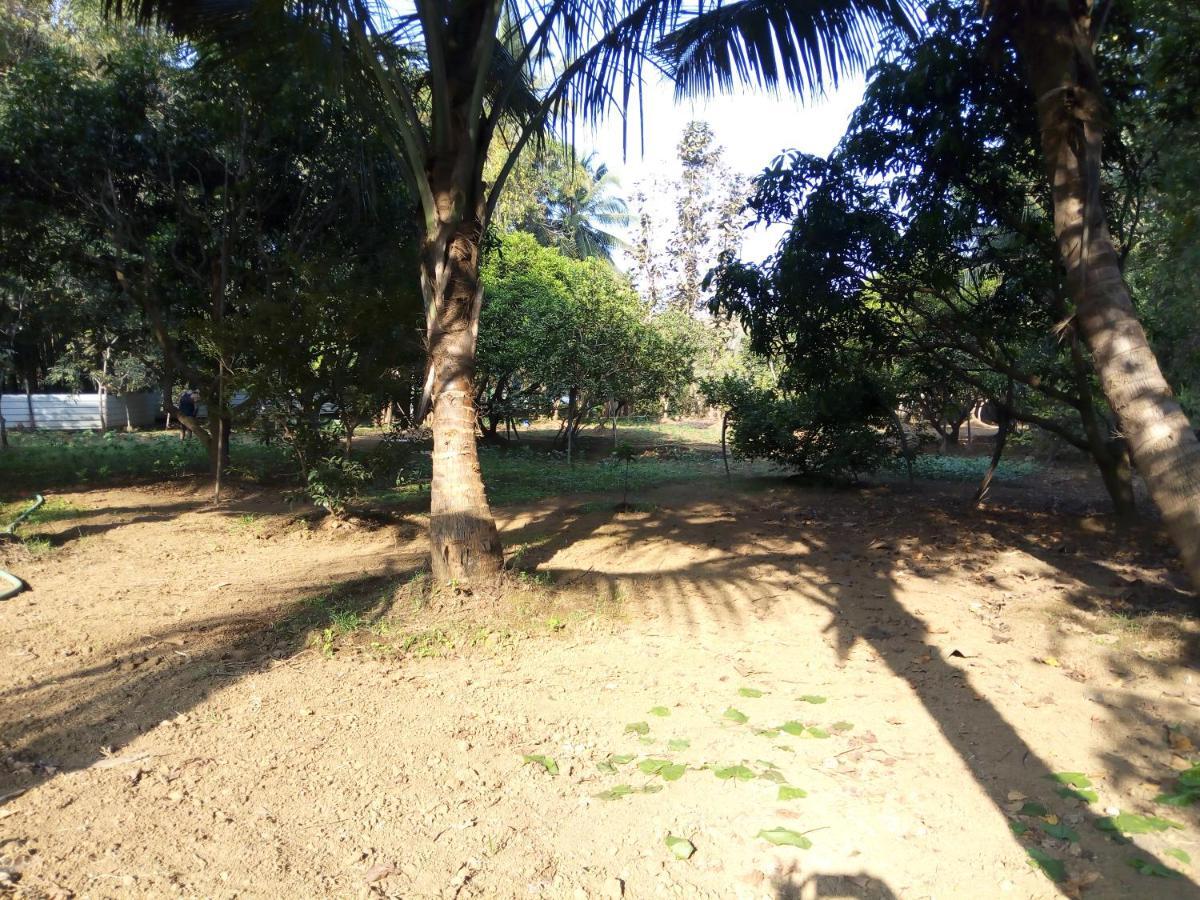 Homestay Swastik Ac 1bhk *