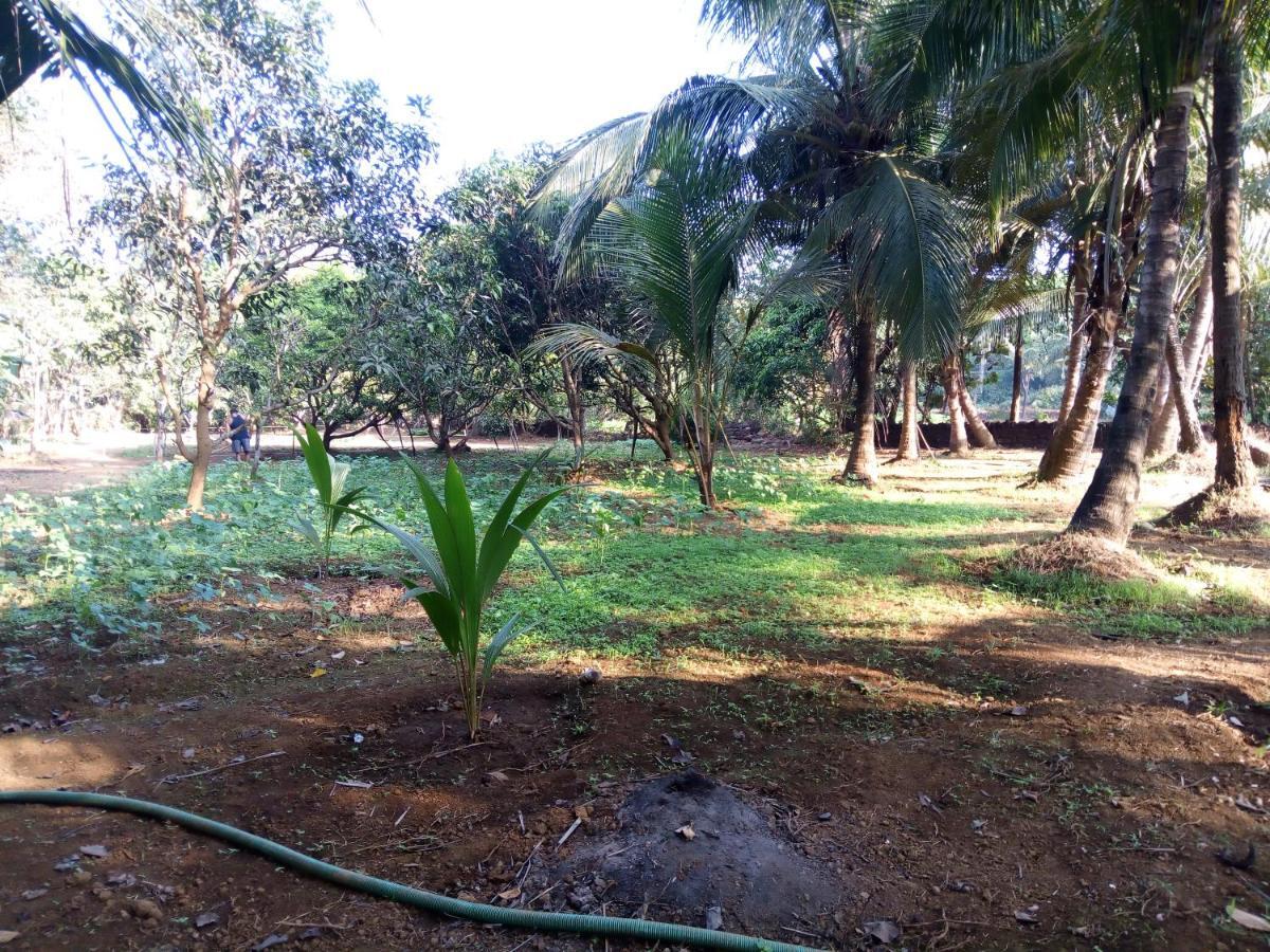 Swastik Ac 1bhk Homestay Mandrem